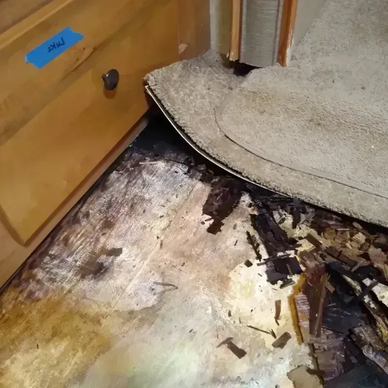 Wood Floor Water Damage in Hermantown, MN